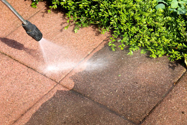 Best Roof Power Washing Services  in Vernon, AL